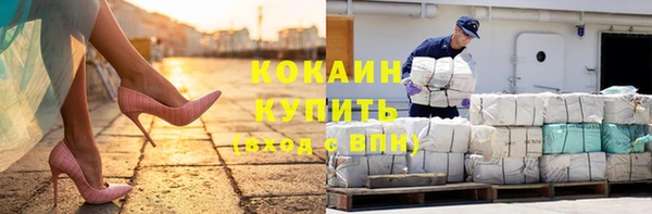 молекула духа Елизово