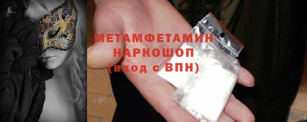 индика Дмитров