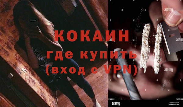 молекула духа Елизово
