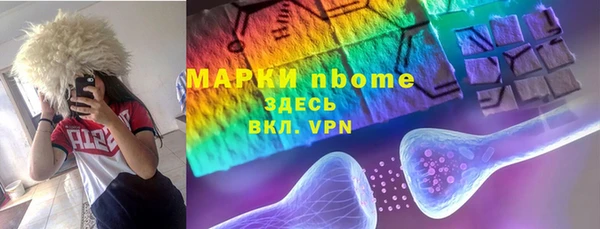 молекула духа Елизово